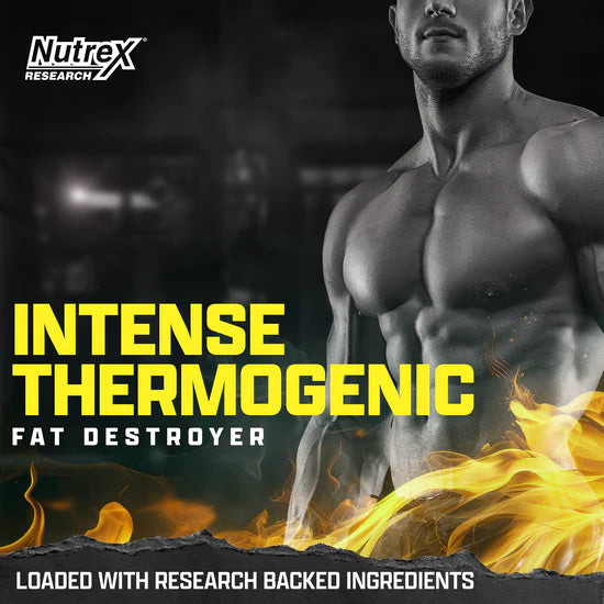 Nutrex Lipo6 Intense Ultra Concentrate 60 Capsulas