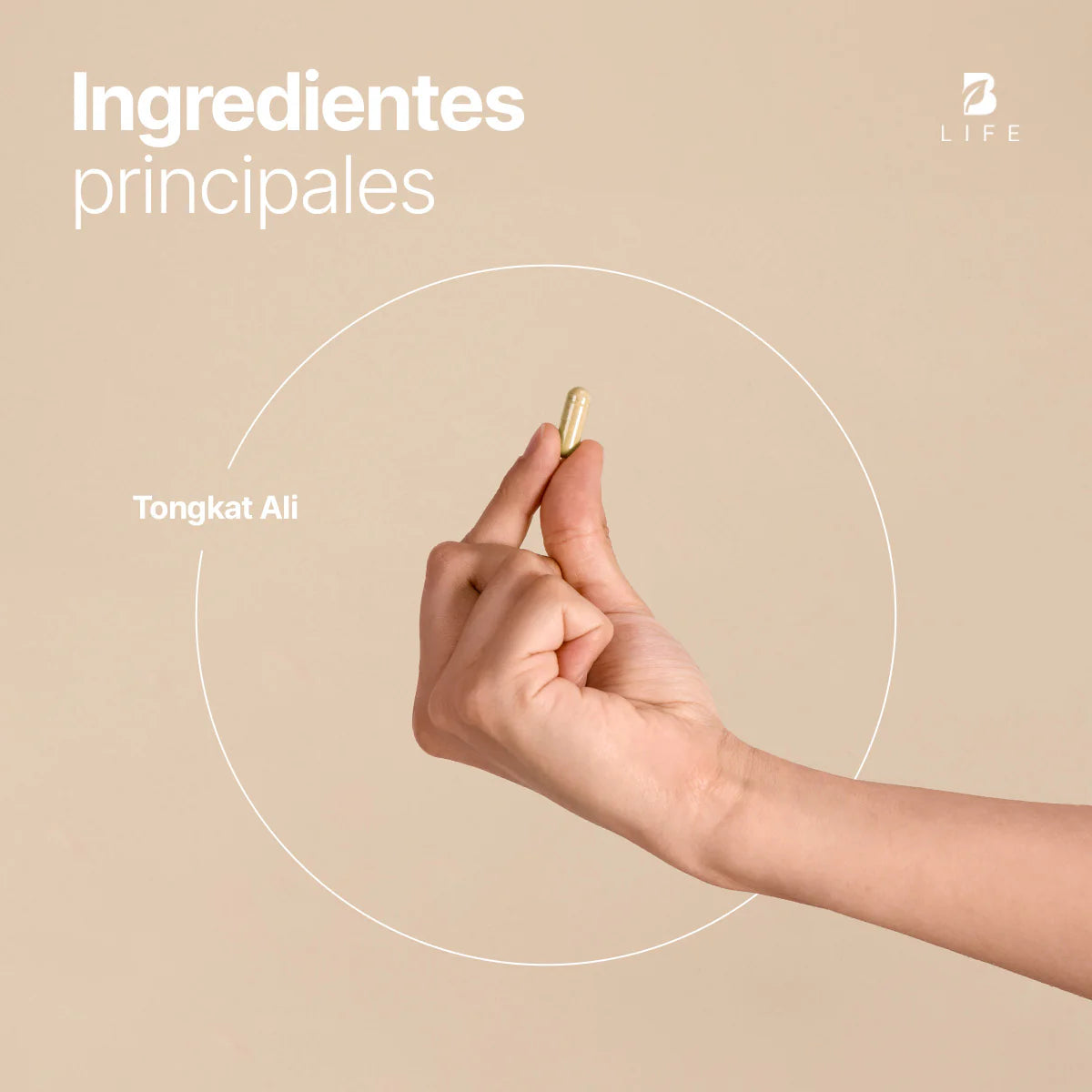 B Life Tong-Kat Ali | Complemento Para Rendimiento Masculino 240 Capsulas