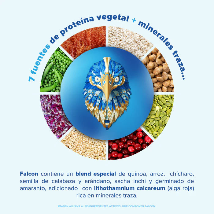 Birdman Falcon Proteina Vegetal 1.80 Kg
