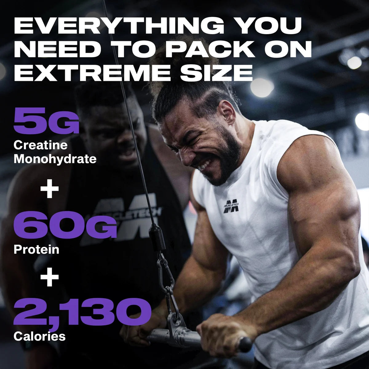 Muscletech Mass Tech Extreme 2000 6 Lbs