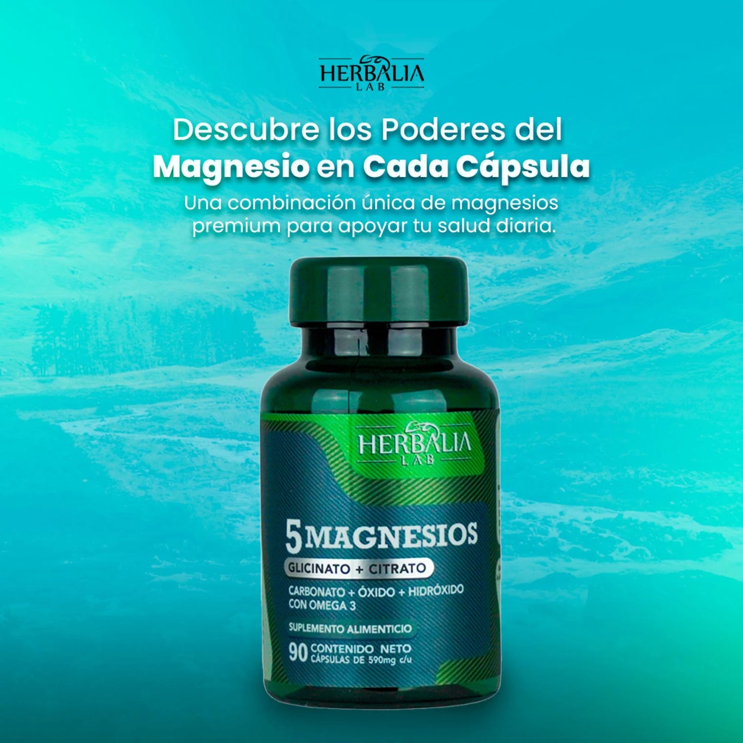 Herbalia Lab 5 Magnesios 90 Capsulas