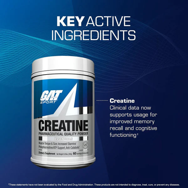 Gat Sport Creatine 300 Gramos 60 Servicios