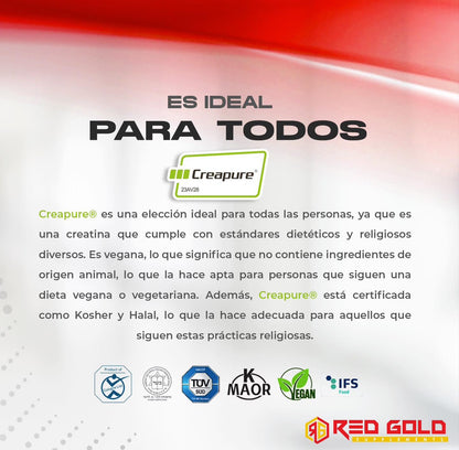 Red Gold Aminos Energ-y  + Creapure 30 Servicios