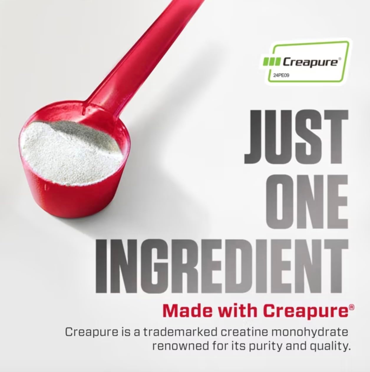 Dymatize Creatine Creapure 300 Gramos 60 Servicios