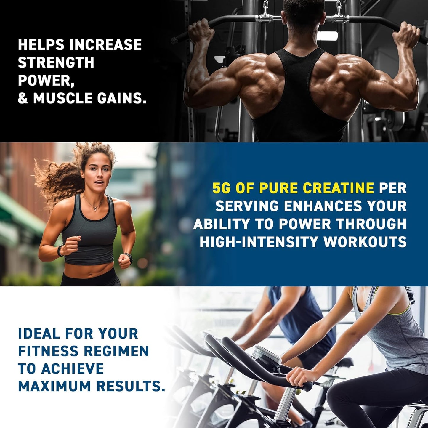 Applied Nutrition Creatine Monohydrate Micronized 250 Gramos 50 Servicios