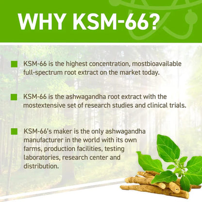 Applied Nutrition Ashwagandha Ksm-66 60 Capsulas