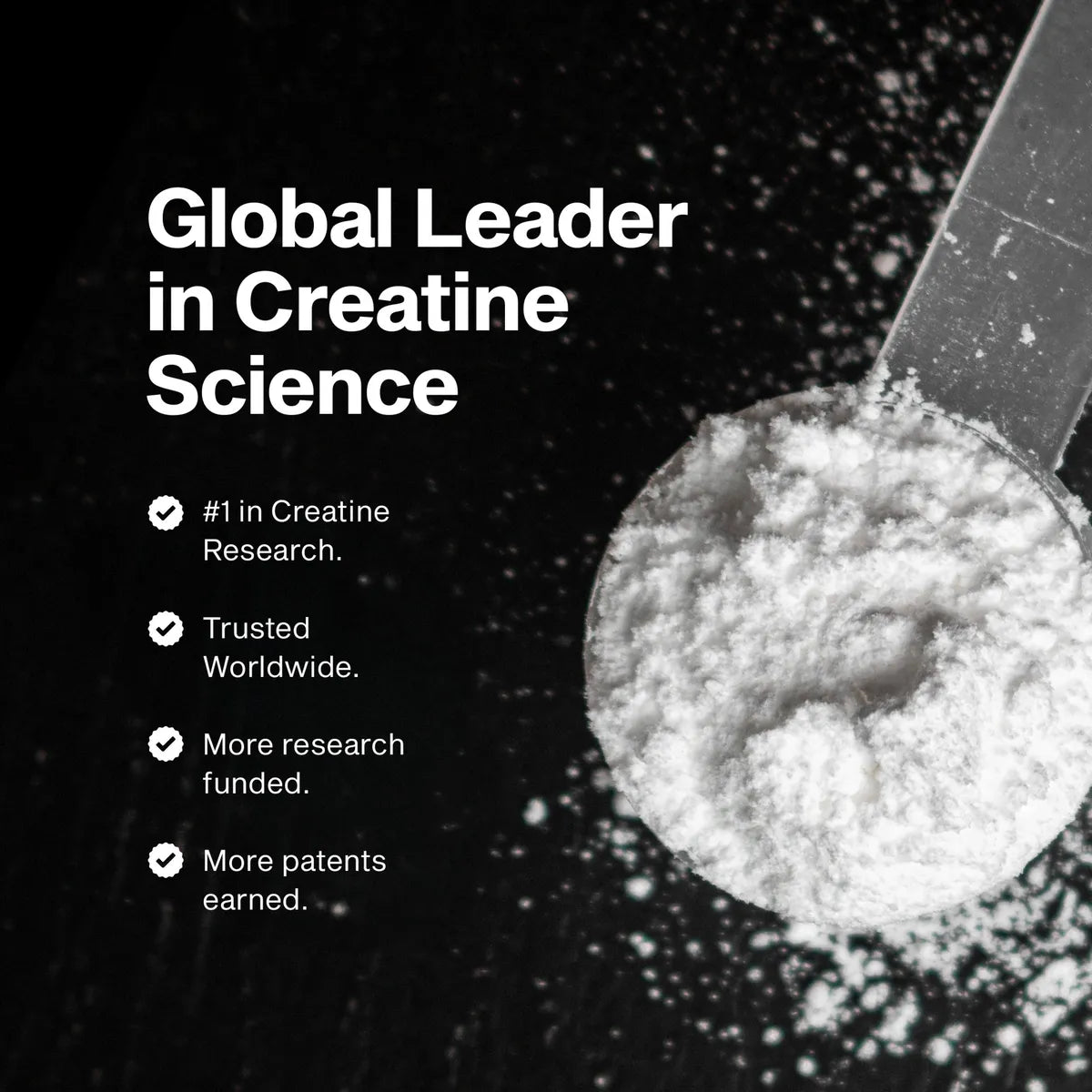 Muscletech Platinum 100% Creatine 400 Gramos 80 Servicios