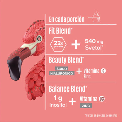 Birdman Fitmingo Proteina 1.02 Kg