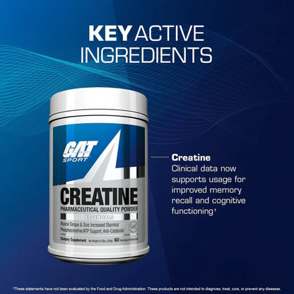 Gat Sport Creatine 300 Gramos 60 Servicios