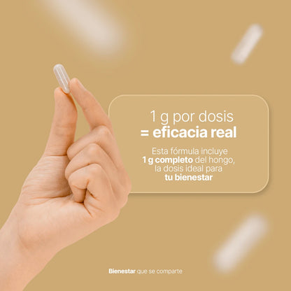 B Life Lions Mane Blend | Hongo de Melena de León 90 Capsulas